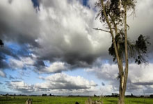 福建晋江运动鞋批发市场在哪里啊最近,福建省晋江有哪些运动鞋品牌