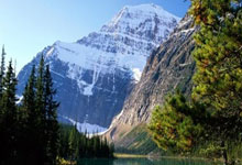 福建晋江运动鞋批发市场有哪些品牌比较好,晋江运动鞋厂哪里最多